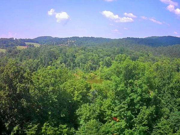 0 Mill Drive, Decatur, TN 37322