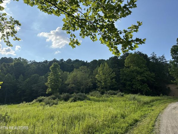 Doc Hollow off Lowes Branch Rd, LaFollette, TN 37766