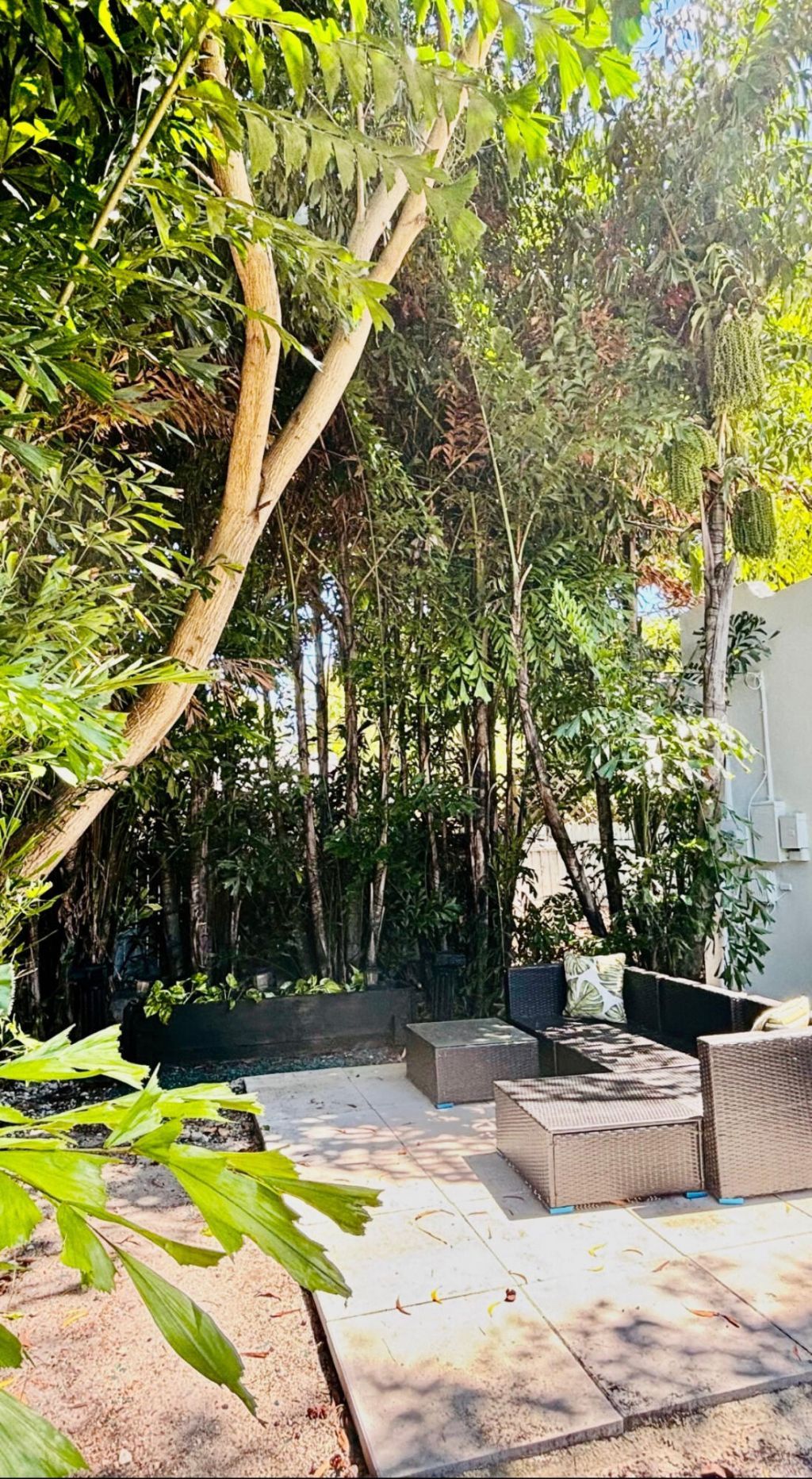 1036 Francis Street, West Palm Beach, FL 33405 Photo