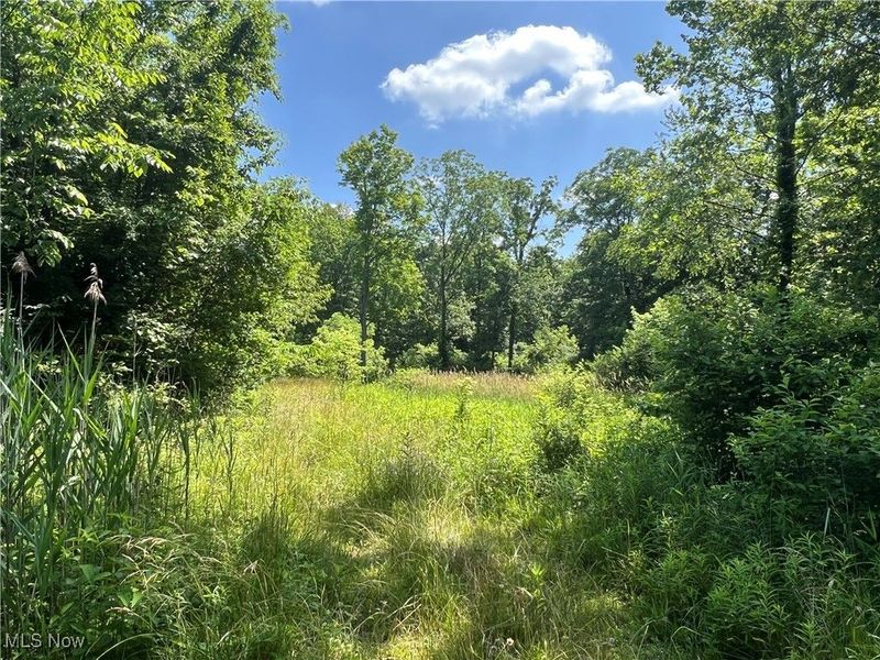 21251 Pitts Road, Wellington, OH 44090 Photo 10