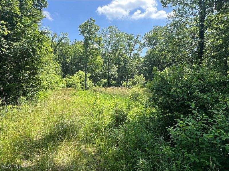21251 Pitts Road, Wellington, OH 44090 Photo 11