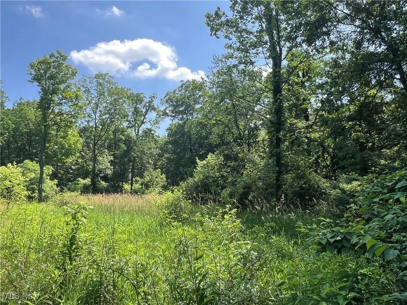 21251 Pitts Road, Wellington, OH 44090 Photo 12