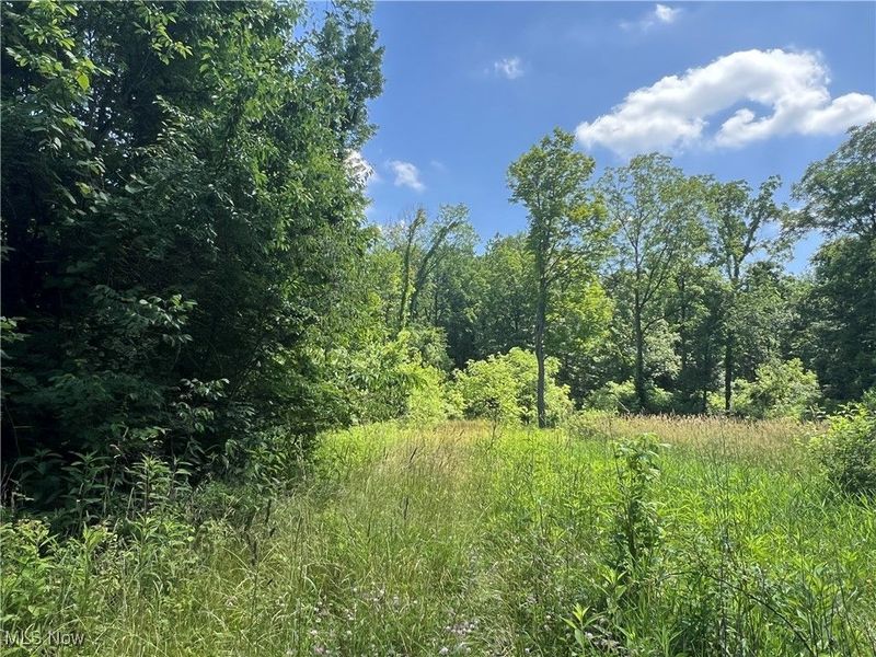 21251 Pitts Road, Wellington, OH 44090 Photo 13