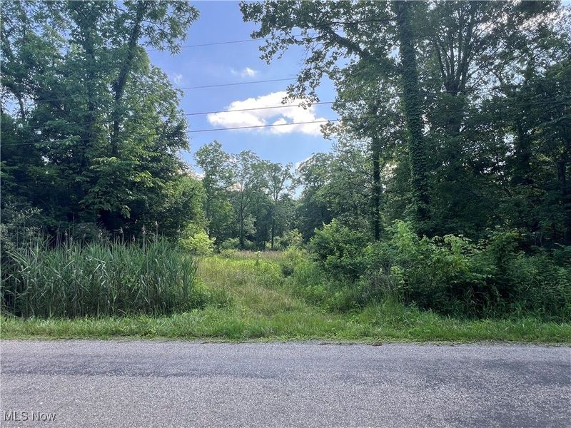 21251 Pitts Road, Wellington, OH 44090 Photo 14