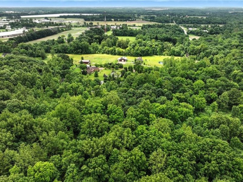 21251 Pitts Road, Wellington, OH 44090 Photo 6