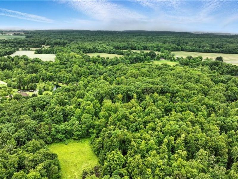 21251 Pitts Road, Wellington, OH 44090 Photo 9