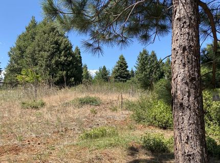 3413 Cedar Lane, Lake Almanor, CA 96137 Photo