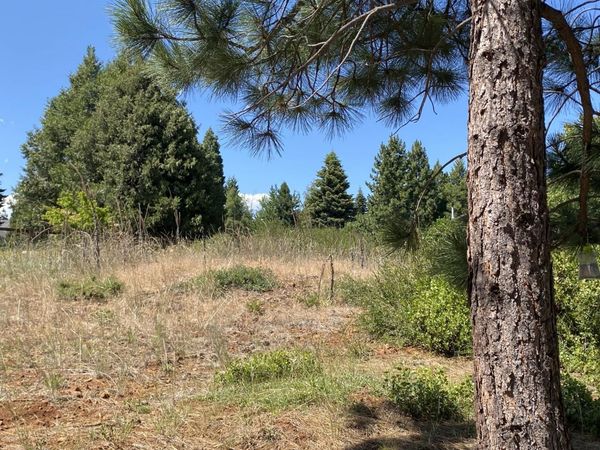 3413 Cedar Lane, Lake Almanor, CA 96137
