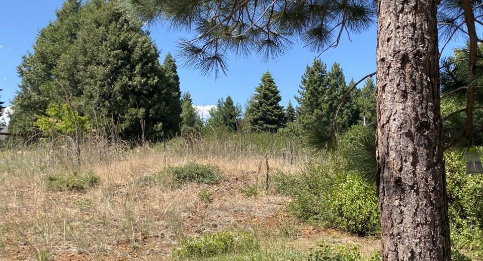 3413 Cedar Lane, Lake Almanor, CA 96137 Photo