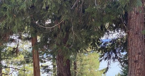 3413 Cedar Lane, Lake Almanor, CA 96137 Photo