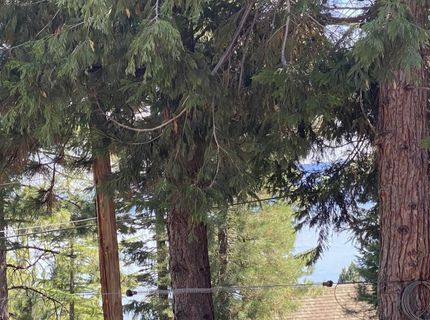 3413 Cedar Lane, Lake Almanor, CA 96137 Photo