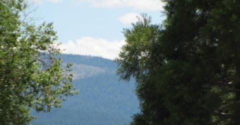 3413 Cedar Lane, Lake Almanor, CA 96137 Photo