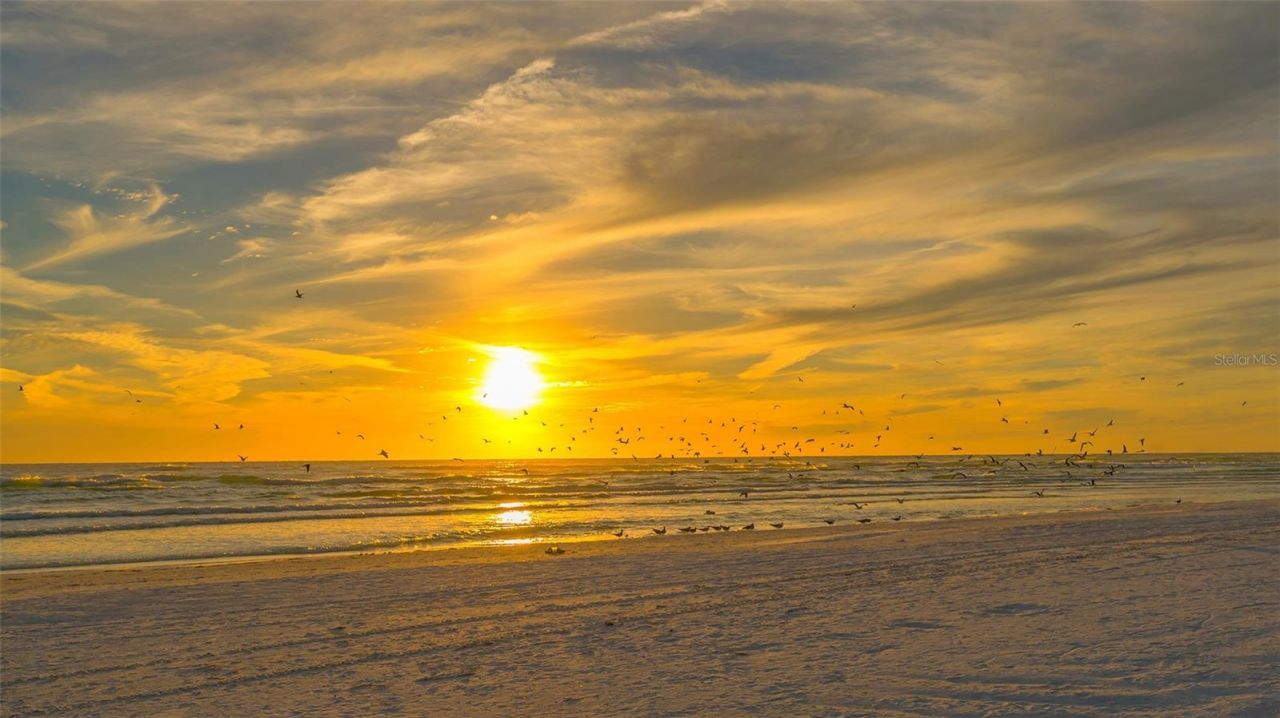 1203 Lyric Lane, Sarasota, FL 34242 Photo