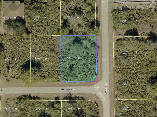 873 Carpenter Street E, Lehigh Acres, FL 33974