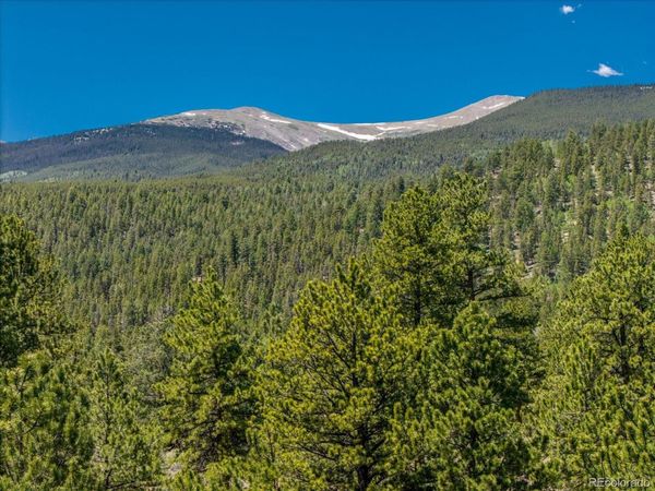 Overlook DR, Buena Vista, CO 81211