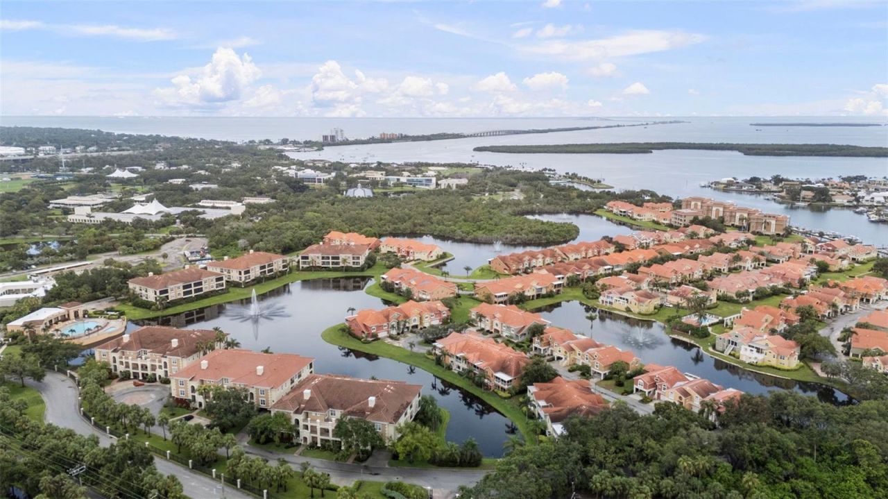 6 Academy Way S, Unit 221, Saint Petersburg, FL 33711 Photo