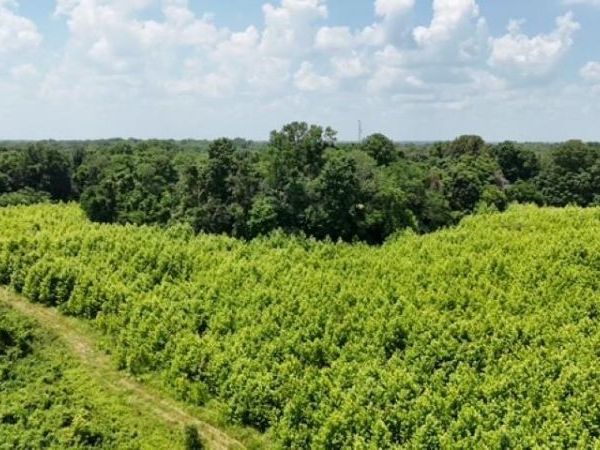 150 N/ 825 W, Hazleton, IN 47640