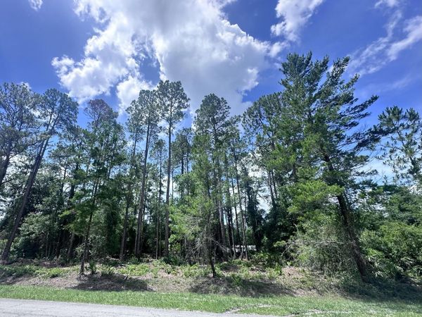 107 GEORGETOWN POINT RD Road, Georgetown, FL 32139