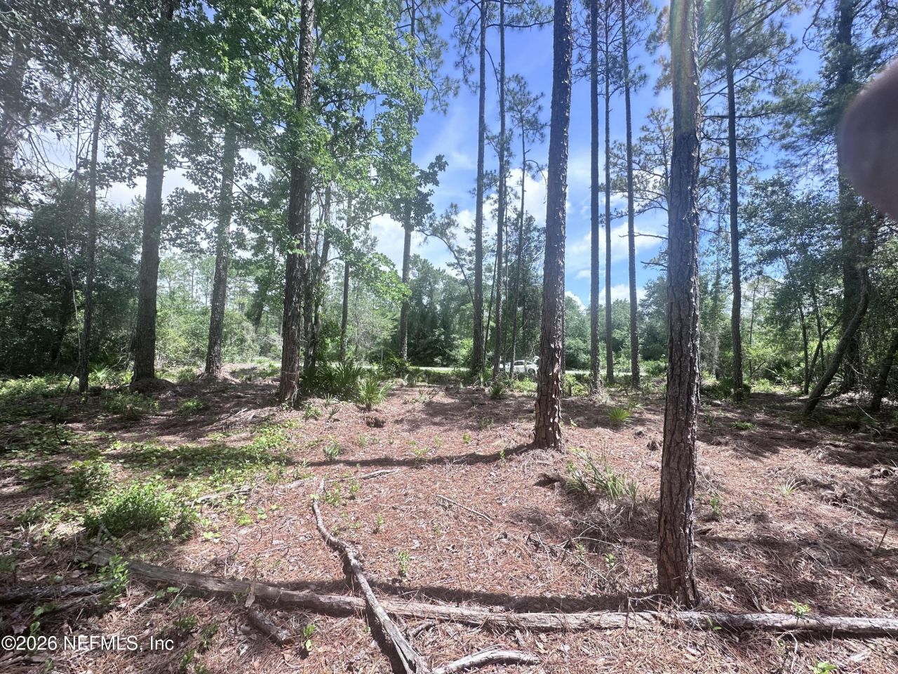 107 Georgetown Point Rd Road, Georgetown, FL 32139 Photo