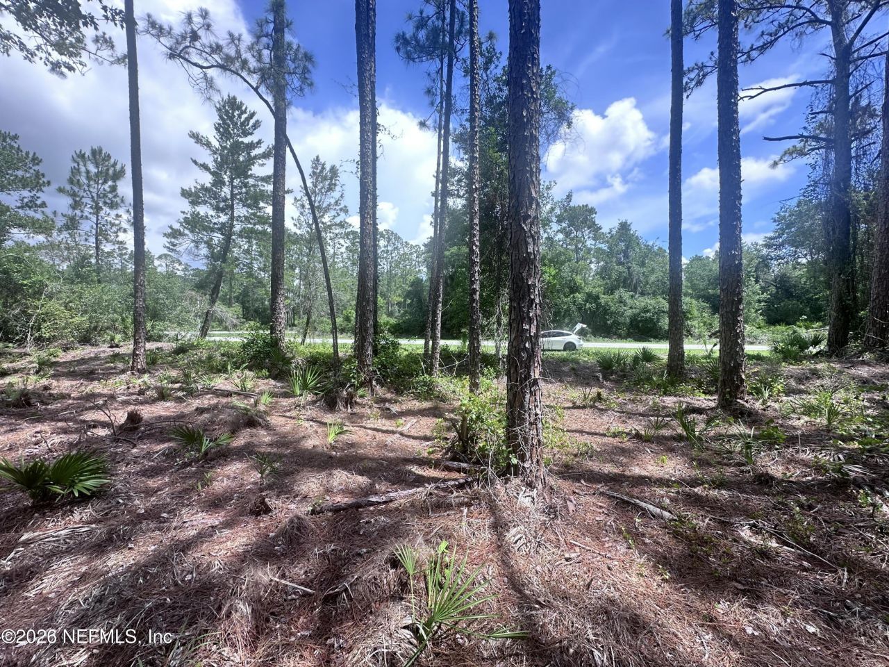 107 Georgetown Point Rd Road, Georgetown, FL 32139 Photo