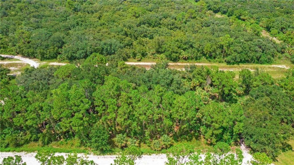 4235 E 31st St, Alva, FL 33920 Photo