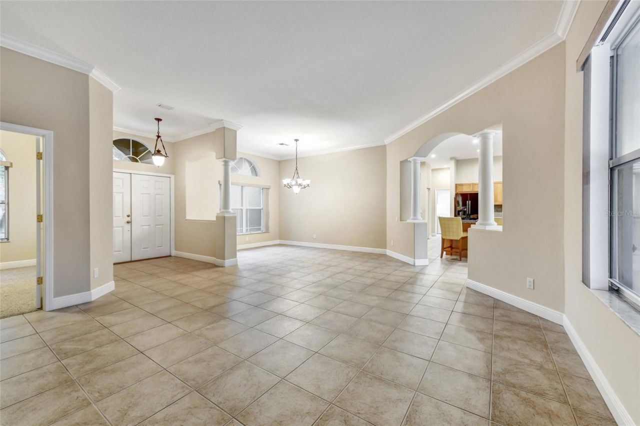 1353 El Pardo Drive, Trinity, FL 34655 Photo