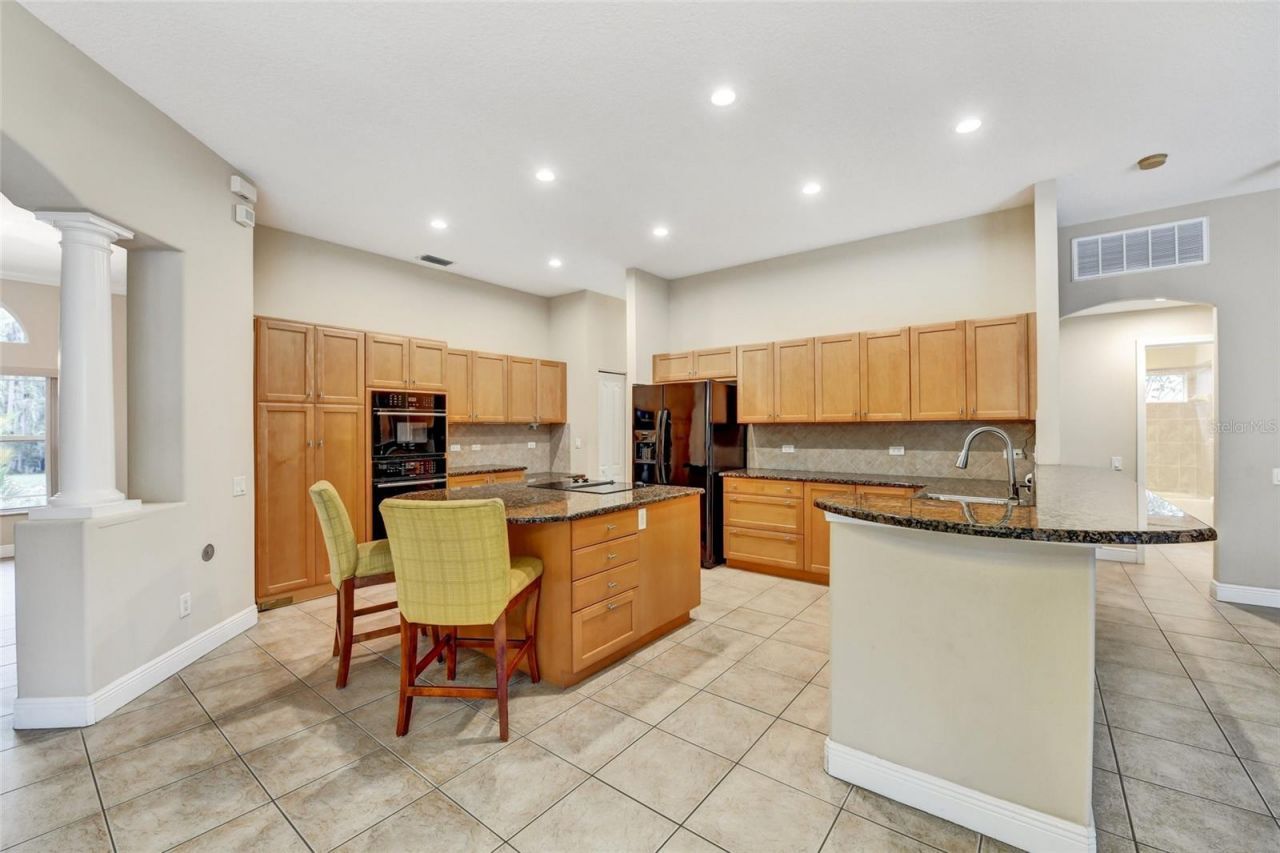 1353 El Pardo Drive, Trinity, FL 34655 Photo