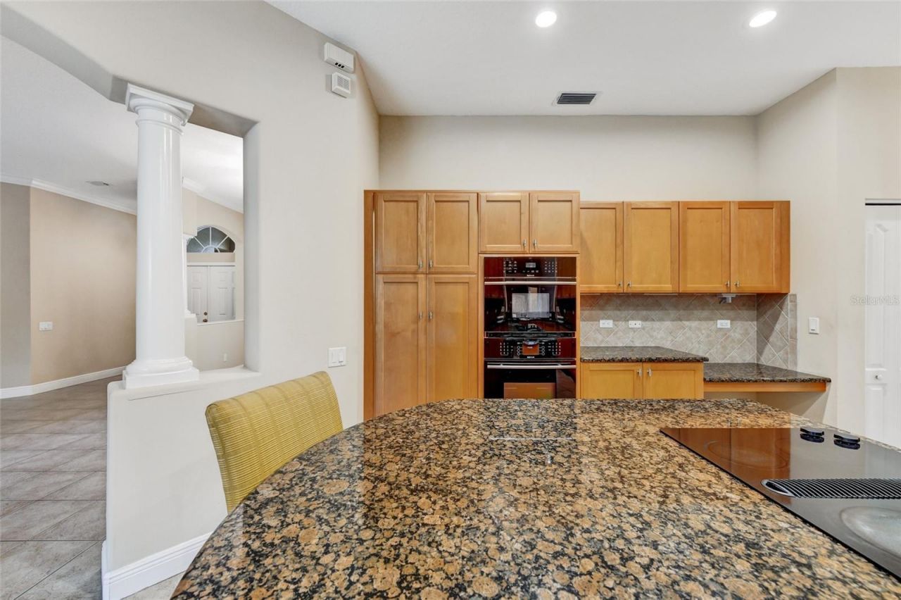 1353 El Pardo Drive, Trinity, FL 34655 Photo