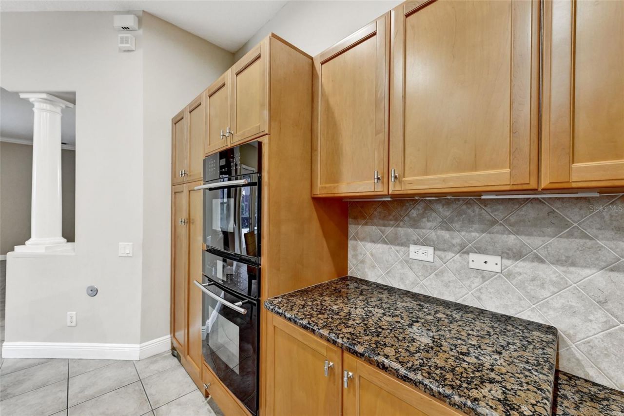 1353 El Pardo Drive, Trinity, FL 34655 Photo