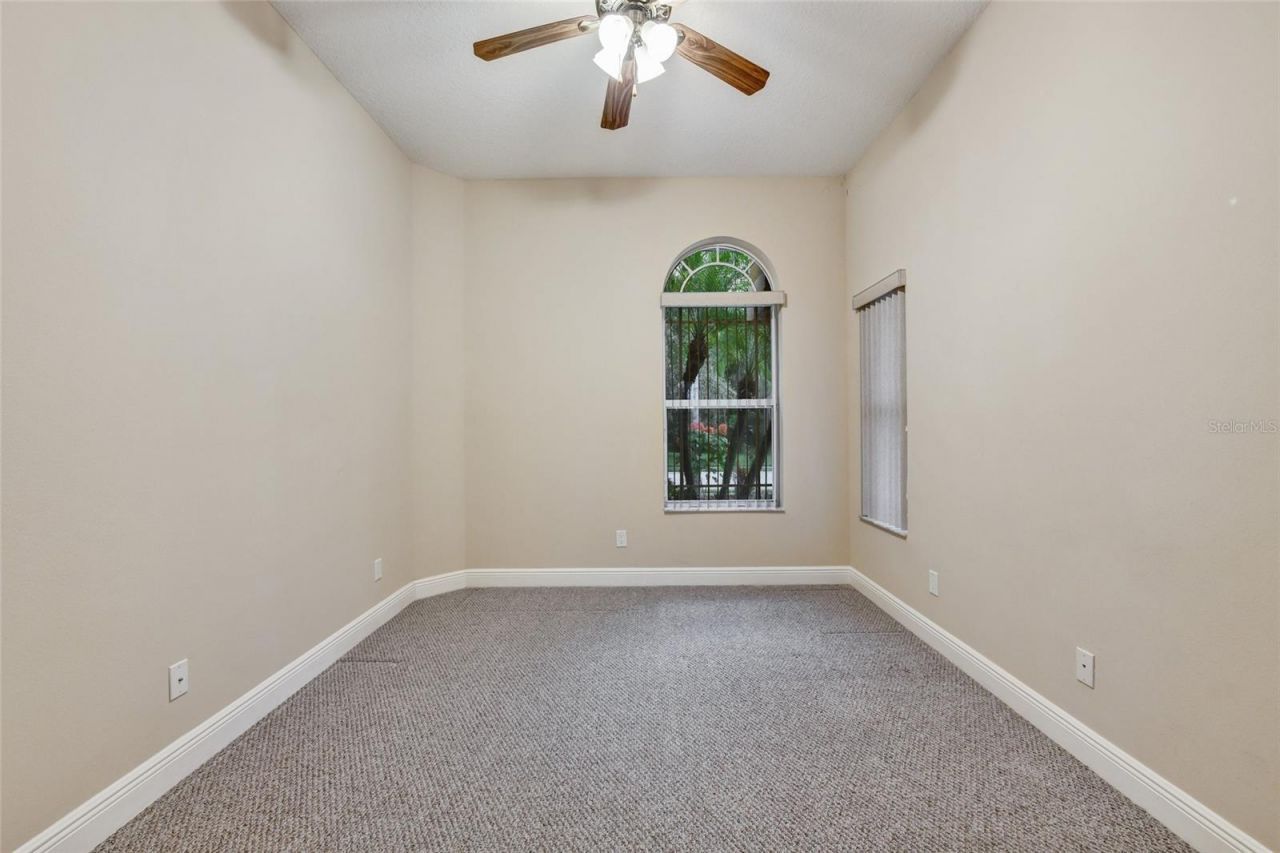 1353 El Pardo Drive, Trinity, FL 34655 Photo