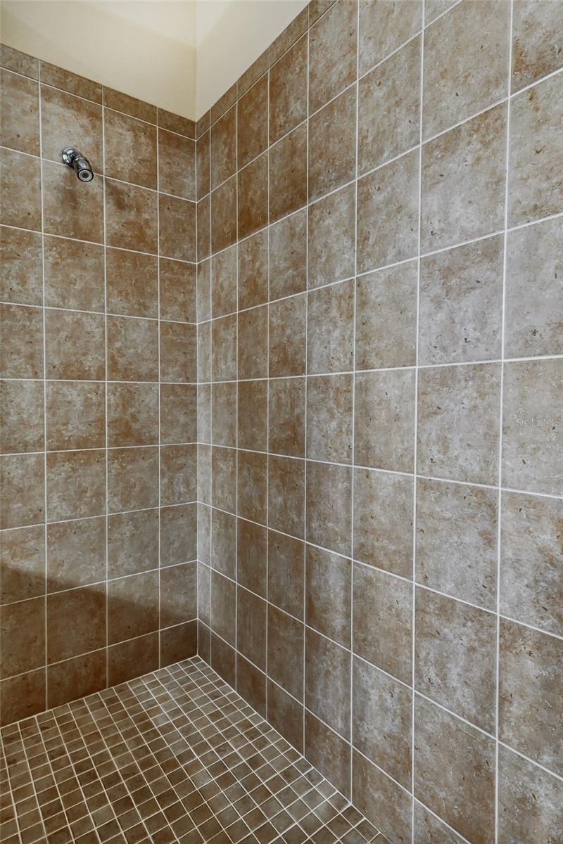 1353 El Pardo Drive, Trinity, FL 34655 Photo