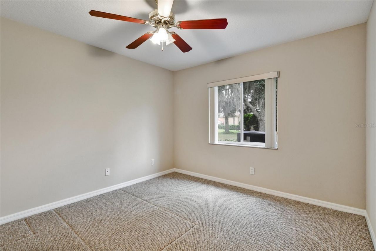 1353 El Pardo Drive, Trinity, FL 34655 Photo