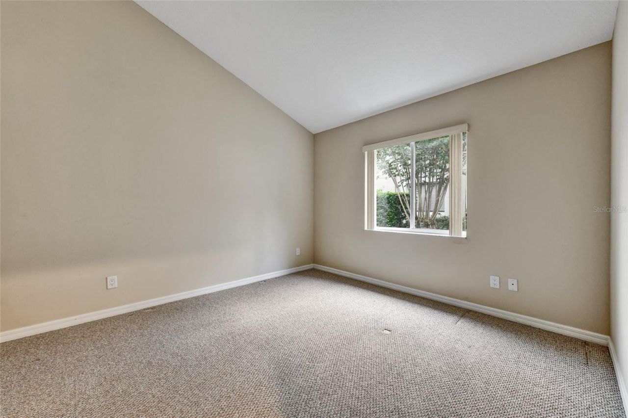 1353 El Pardo Drive, Trinity, FL 34655 Photo