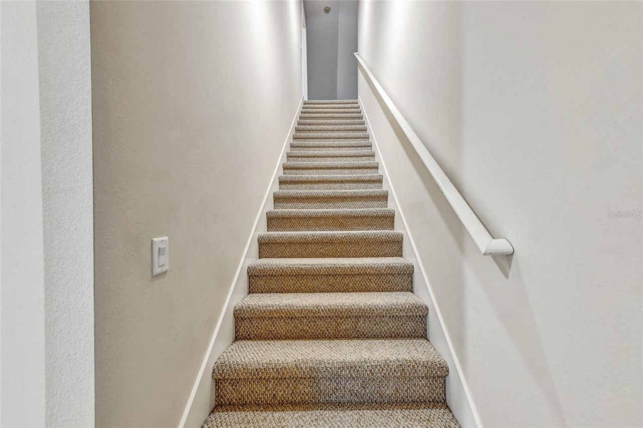 1353 El Pardo Drive, Trinity, FL 34655 Photo