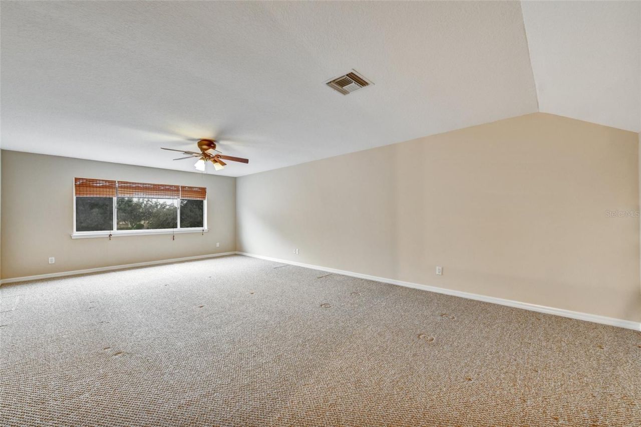 1353 El Pardo Drive, Trinity, FL 34655 Photo