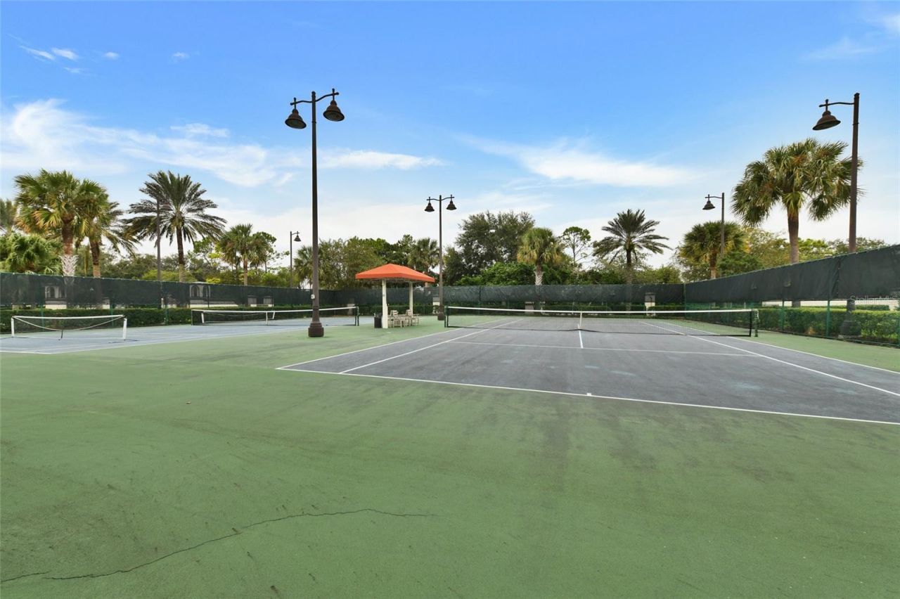 1353 El Pardo Drive, Trinity, FL 34655 Photo