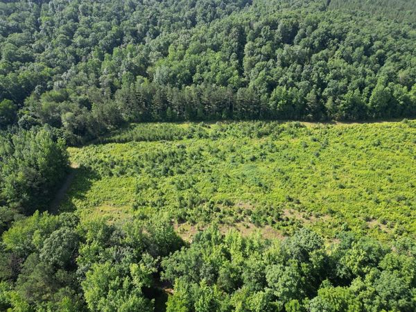 0 Brushy Road, Centerville, TN 37033