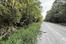 Tbd Wolf Pit Bay Rd. photo 4