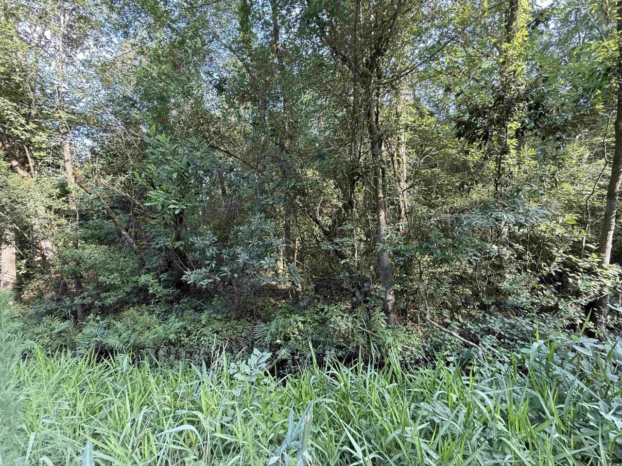 Tbd Wolf Pit Bay Rd. Photo 4