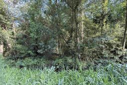 Tbd Wolf Pit Bay Rd. photo 4