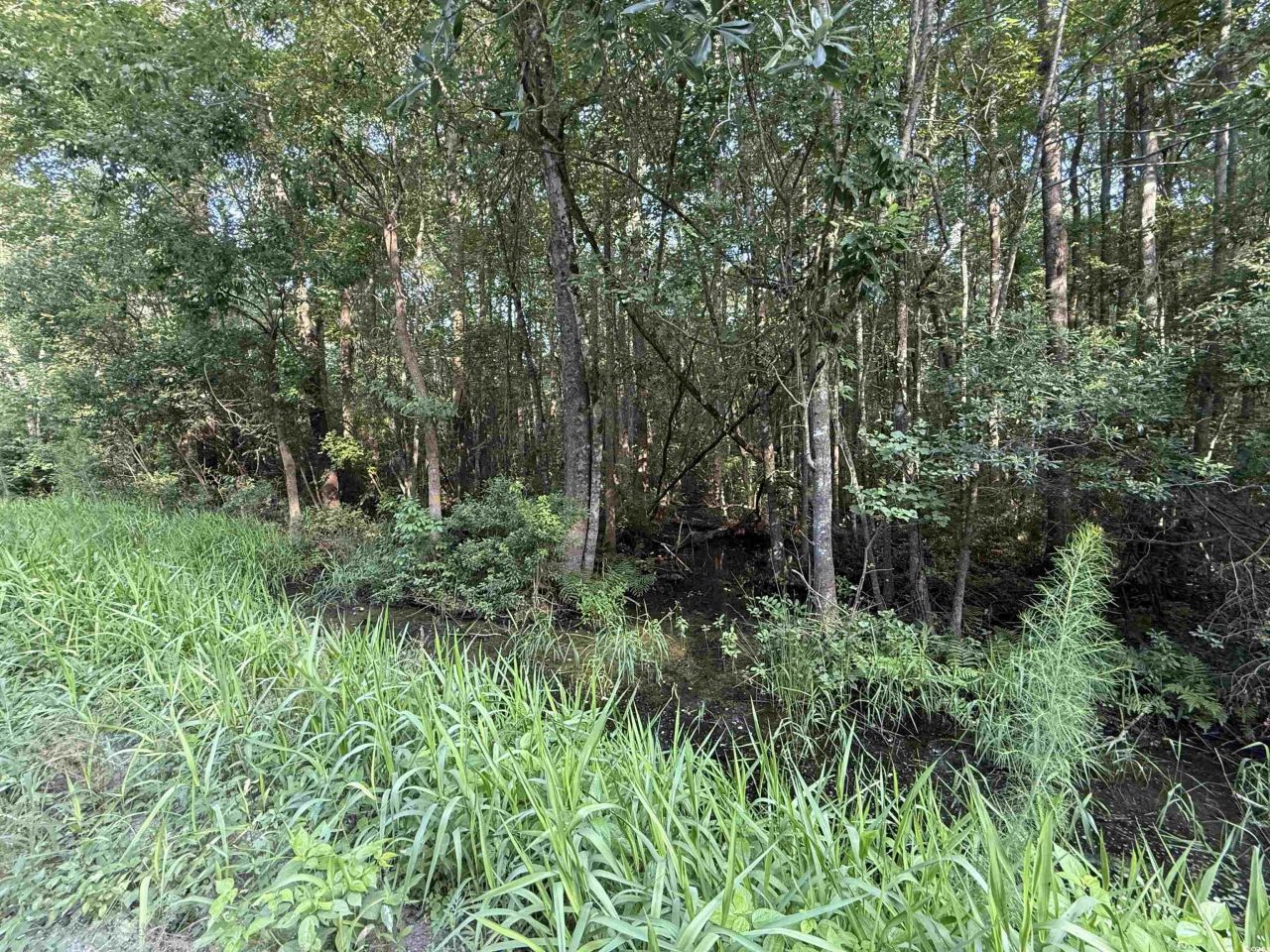 Tbd Wolf Pit Bay Rd. Photo 5