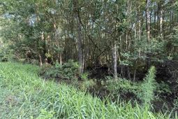 Tbd Wolf Pit Bay Rd. photo 4