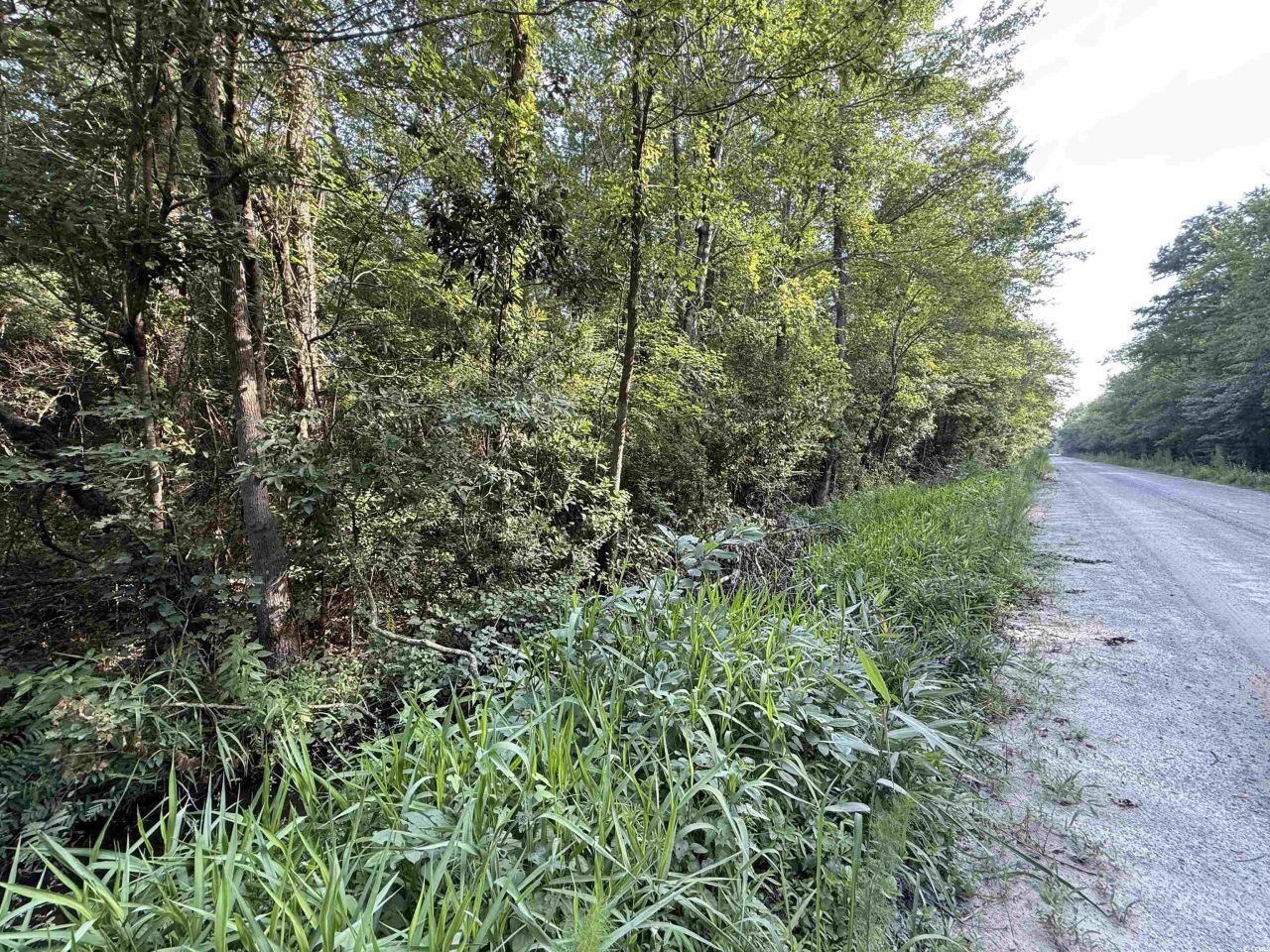 Tbd Wolf Pit Bay Rd. Photo 6