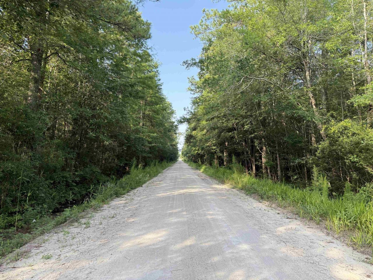 Tbd Wolf Pit Bay Rd. Photo 7