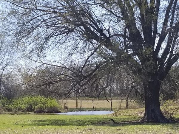 0000 Farm Road 1502, Detroit, TX 75436