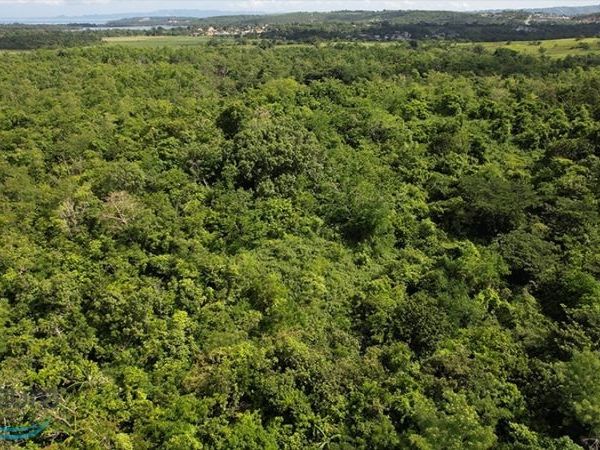 15.8 Int PR 102, Cabo Rojo, PR 00623