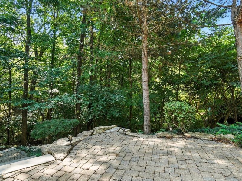 1451 Brittingham Lane, Powell, OH 43065 Photo 127