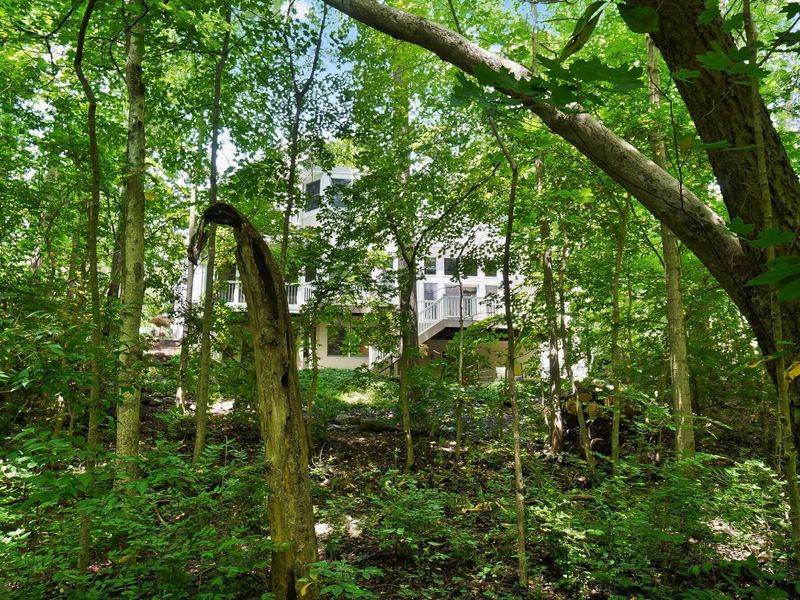1451 Brittingham Lane, Powell, OH 43065 Photo 136