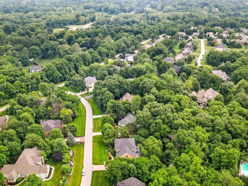 1451 Brittingham Lane, Powell, OH 43065 Photo 5