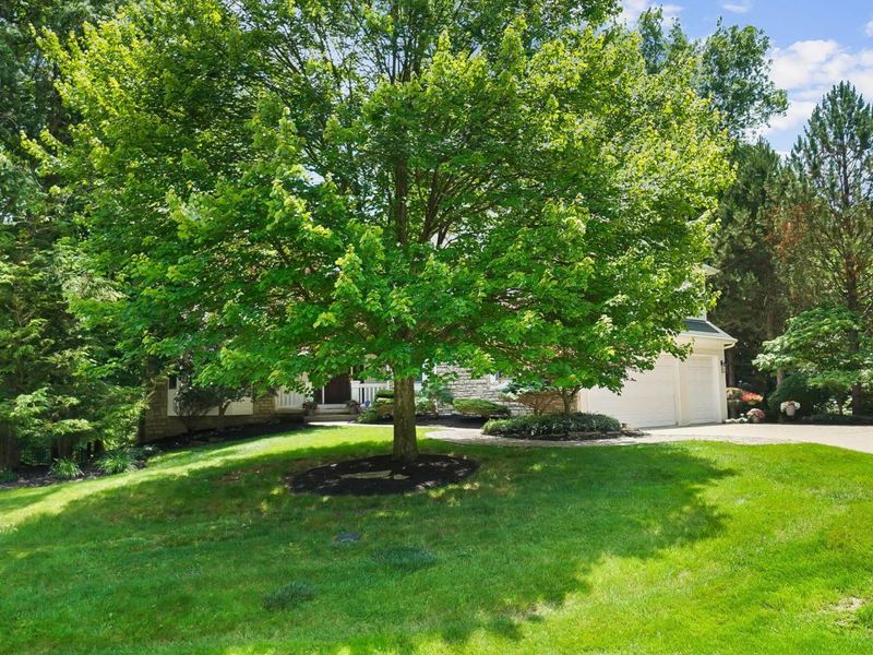 1451 Brittingham Lane, Powell, OH 43065 Photo 7